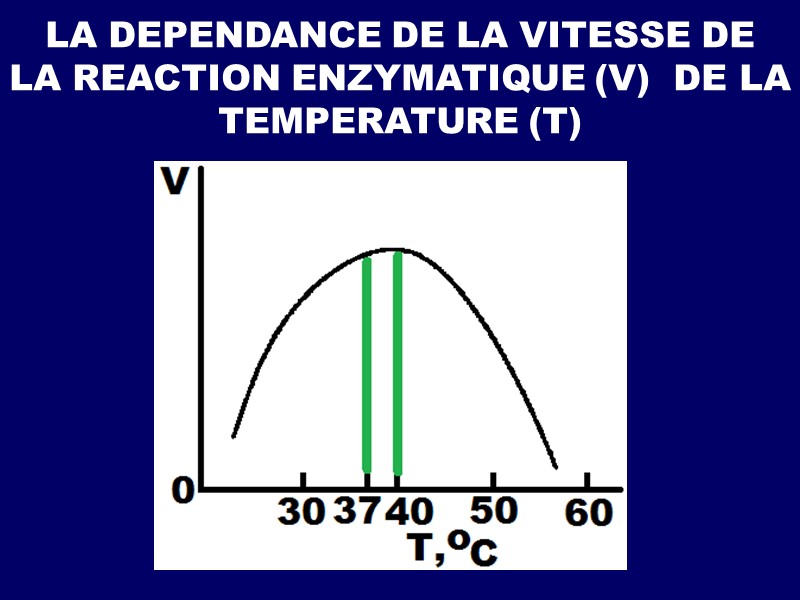 LA DEPENDANCE DE LA VITESSE DE   LA REACTION ENZYMATIQUE (V)  DE